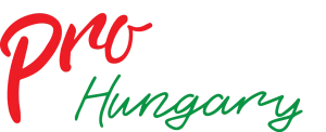 ProLED Hungary logo grafika – LED technológia és szerviz